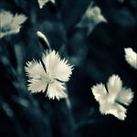 00 by Black-Hells