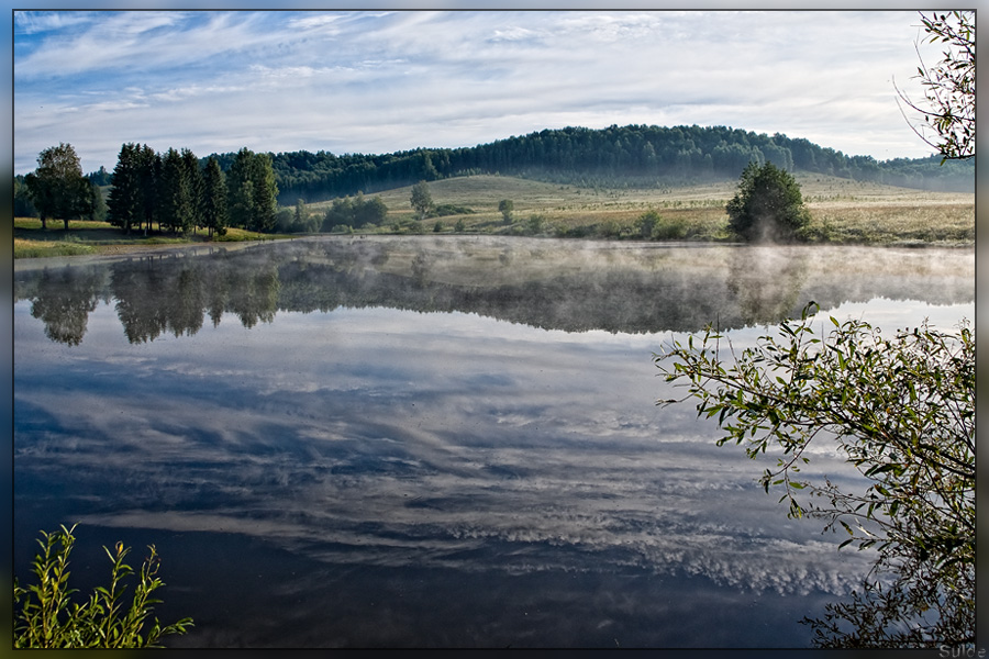 A foggy pond