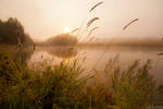 Foggy Pond by Sulde