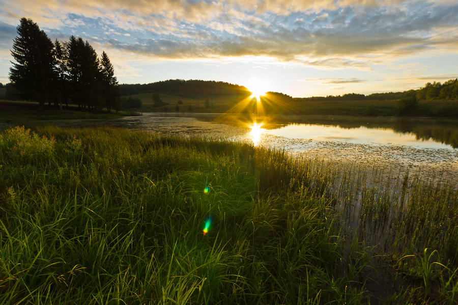 Sunrise at the Pond