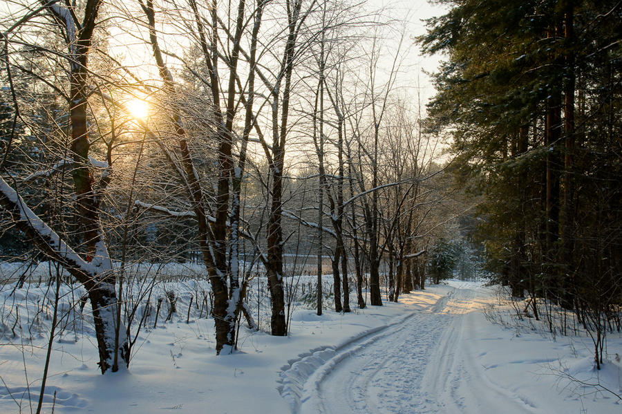 Snow Path by Sulde on DeviantArt