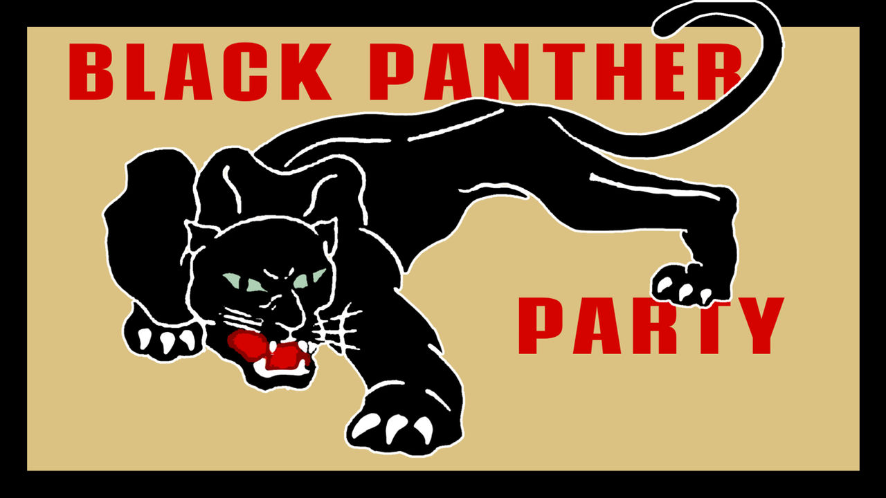Flag of the Black Panther Party by popup345 on DeviantArt
