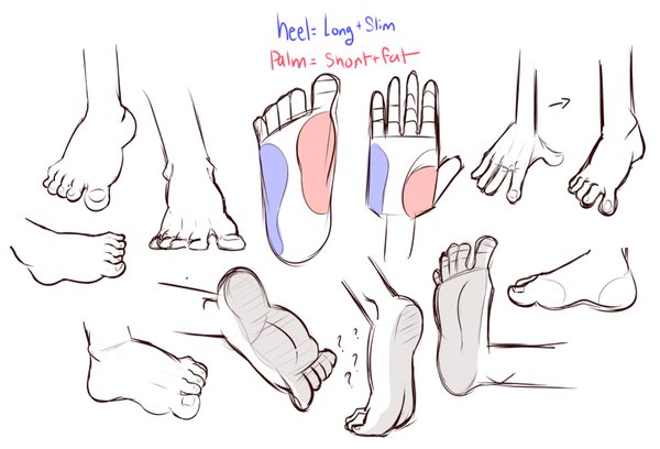 foot study