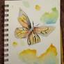 A watercolor butterfly