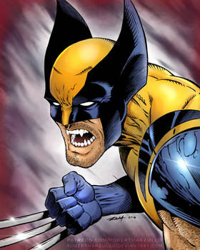 Wolverine - Colors