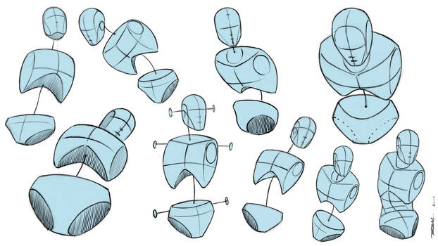 Drawing Studies - Head - Torso - Pelvis