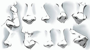 Comic Style Noses - Various Angles
