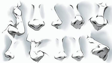 Explore the Best Noses Art | DeviantArt Explore the Best Noses Art | DeviantArt