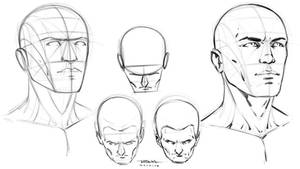 Head Construction Reference