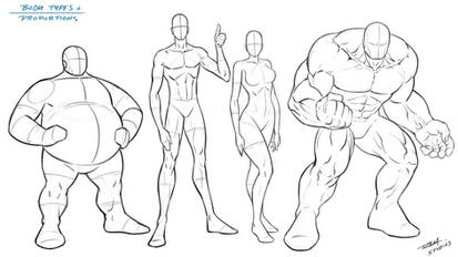 Body Types and Proportions - Reference