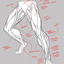 Leg Anatomy Study - Terminology