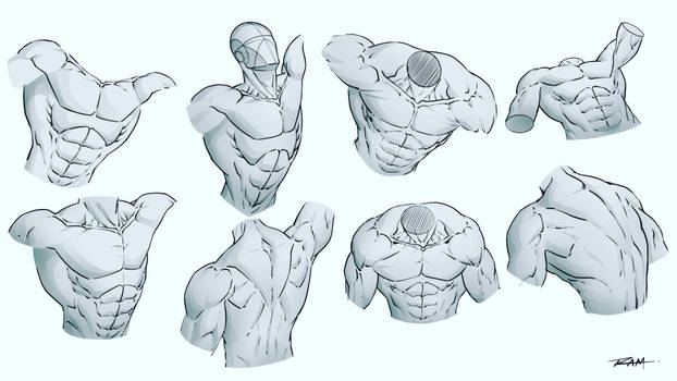 Male Upper Body Drawings