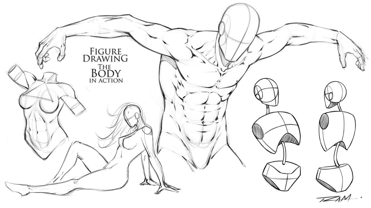 Figure Drawing - The Body in Action by robertmarzullo on DeviantArt