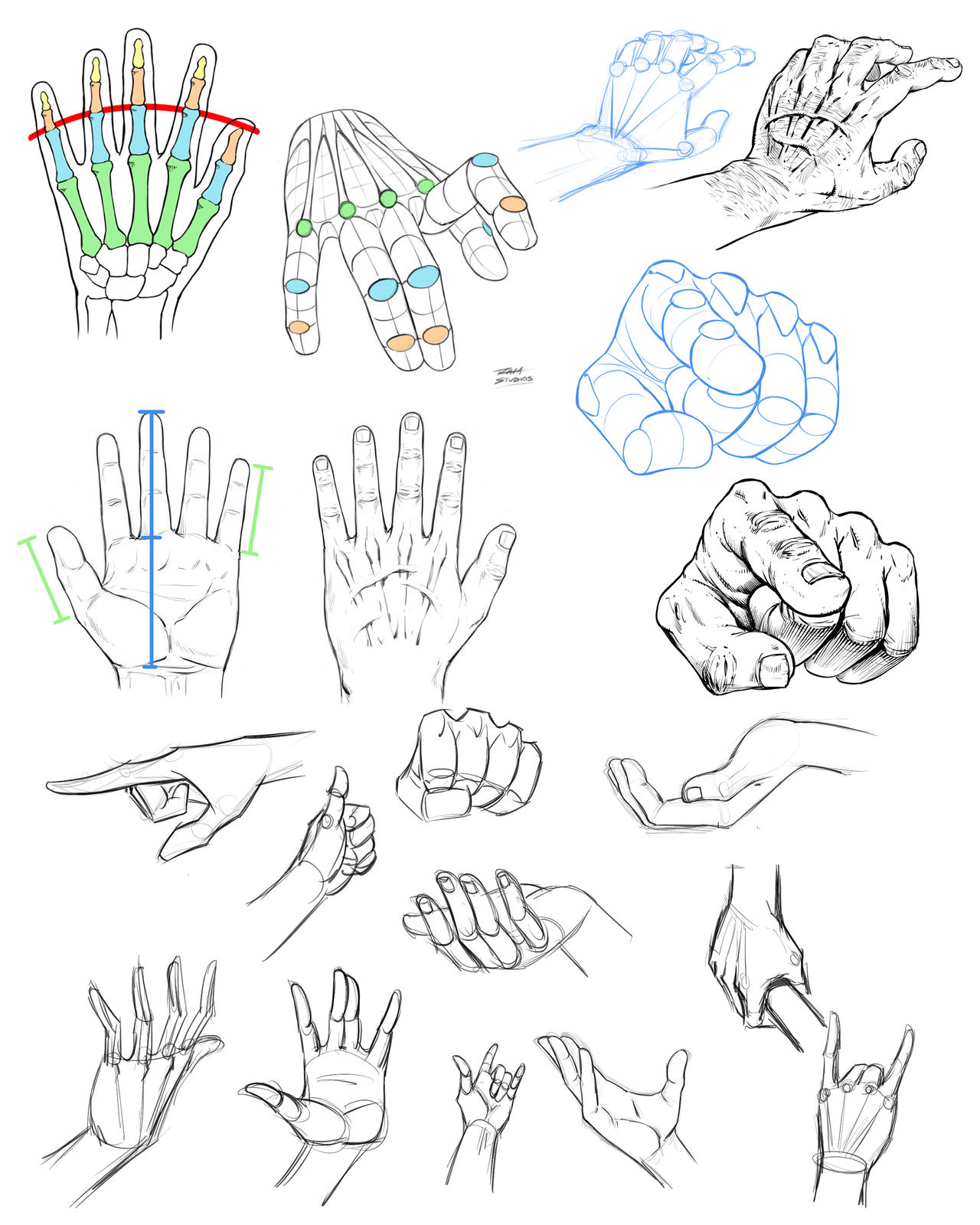 How to Draw Hands - Reference Sheet by robertmarzullo on DeviantArt