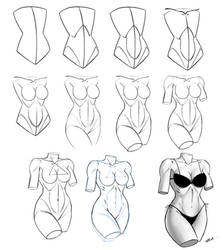 Drawing A Female Torso Step By Step Tutorial