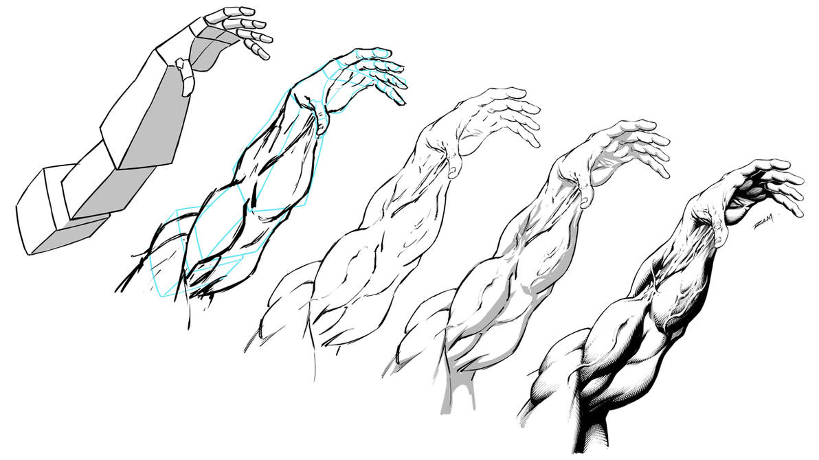 Arms Rised Arm Raised Pose - Step by Step by robertmarzullo on DeviantArt