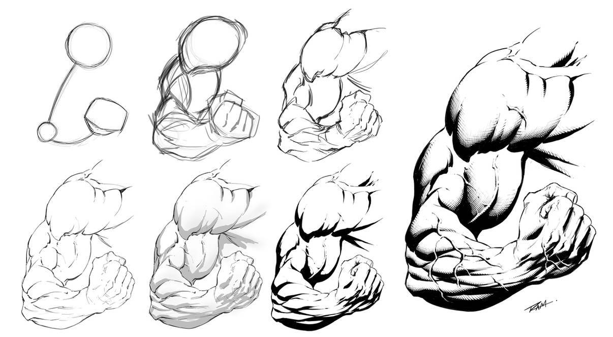 Man Arm Tutorial Muscular Arm Pose - Step by Step Drawing by robertmarzullo on DeviantArt
