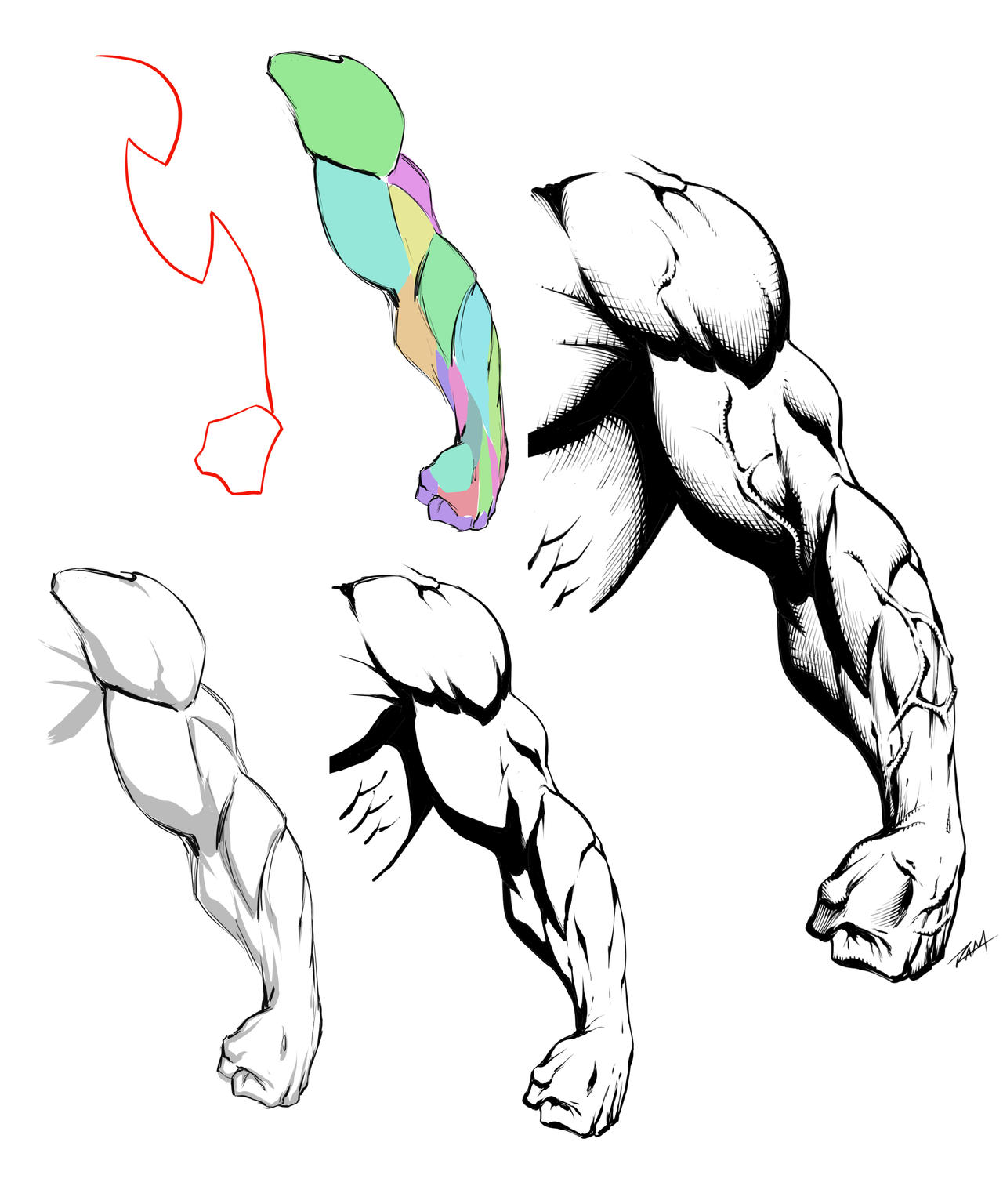 How to Draw an Arm - Straight Front View by robertmarzullo on DeviantArt