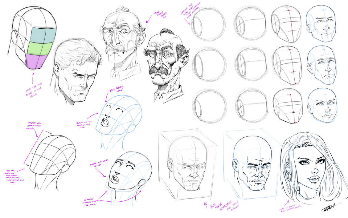 How to Draw Heads - Reference Sheet by robertmarzullo on DeviantArt