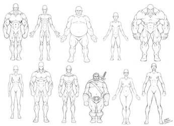 Body Proportions Reference Sheet