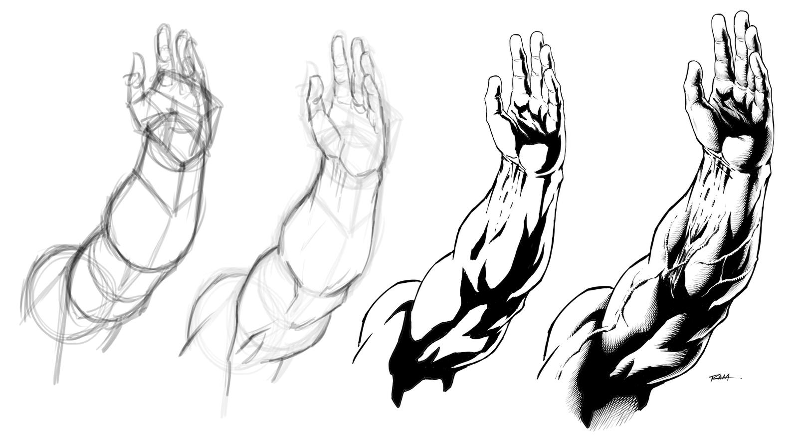 Arms Rised Arm Raised - Drawing Anatomy - Step by Step by robertmarzullo on DeviantArt