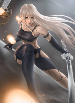 A2