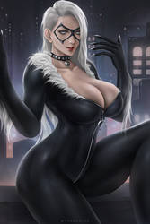 Black Cat