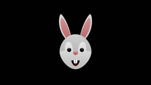 Rabbit (4K)