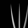 Wolverine Claws (4K)