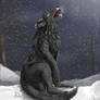 Black Wolf