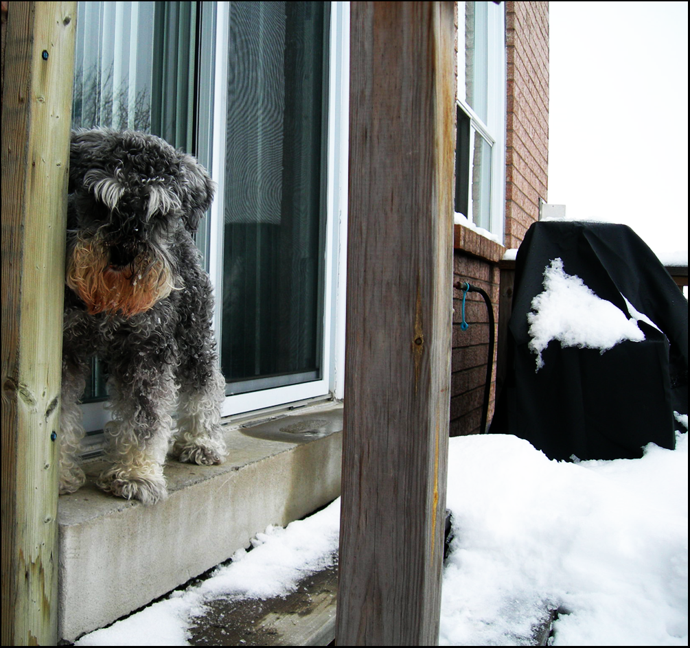 A Snowy Dusty