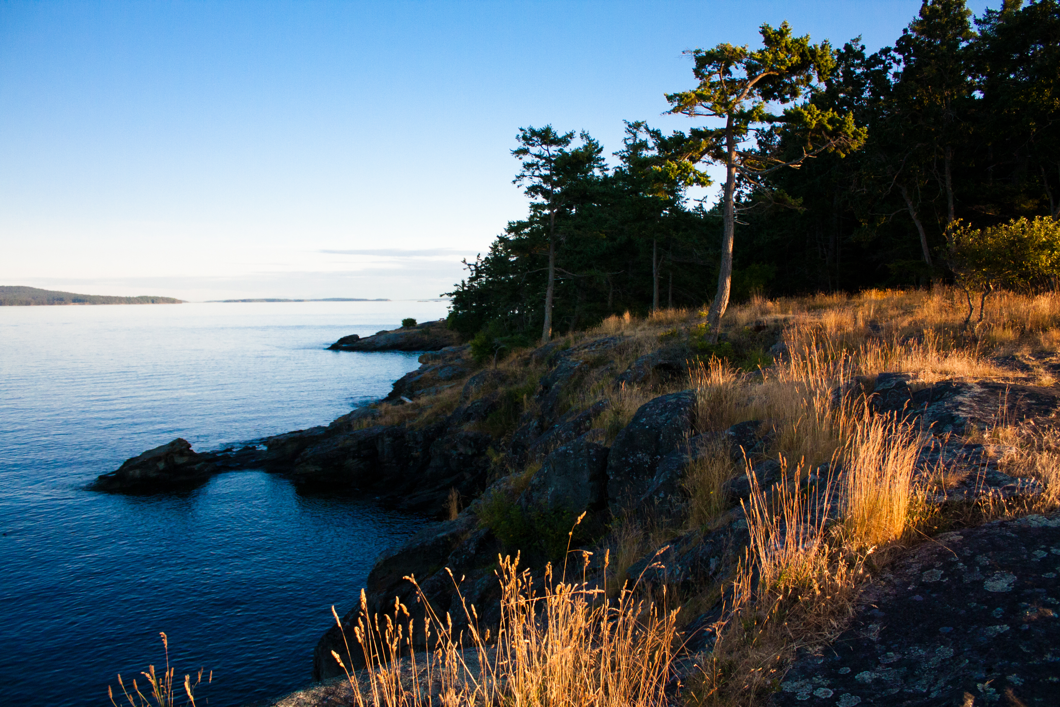 Salt Spring Island Coast Line