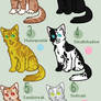 Breedable Warrior Cats [Open]