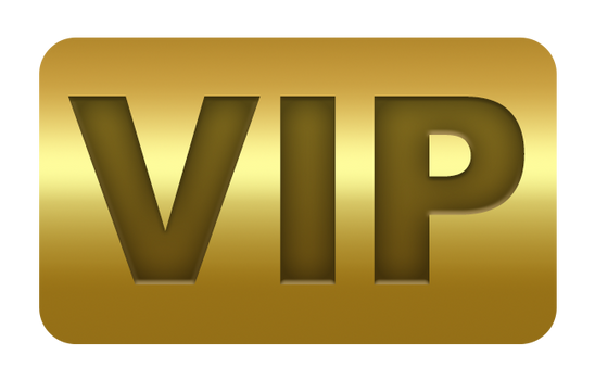 High Quality VIP Badge