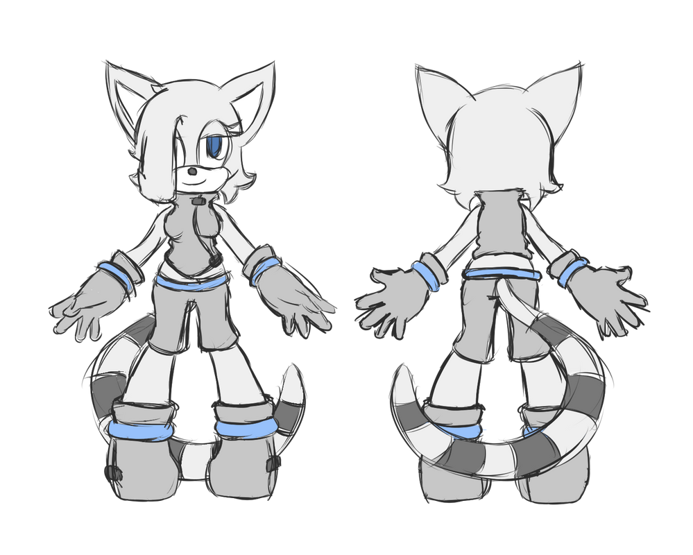 Characteristics Of Raccoon Oc Art Human