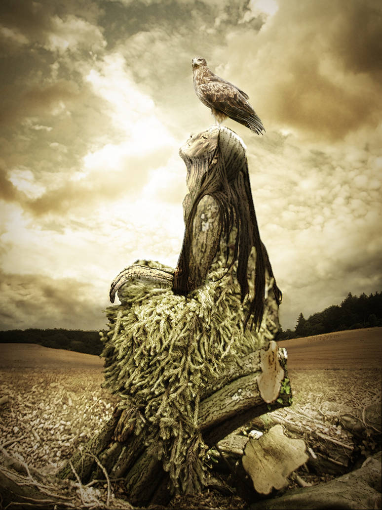 elemental - tree by stormlightloren on DeviantArt