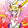 Super Sailor Moon ANIME