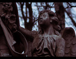 Vvedenskoe Cemetery II