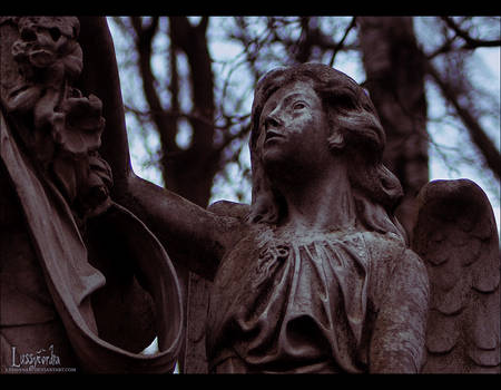 Vvedenskoe Cemetery II