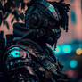 Cyber Soldier