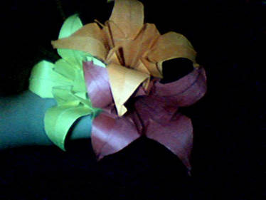 Origami Lillies