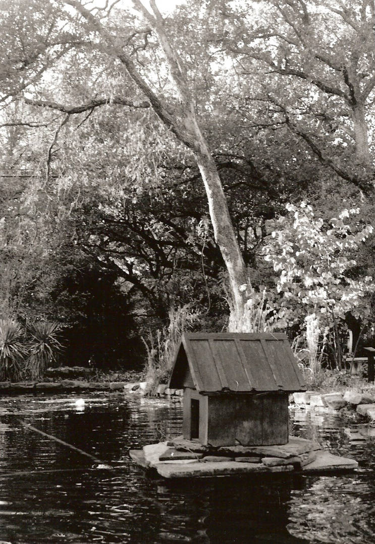 Dawkos House Duckhouse by Rachewlio on DeviantArt