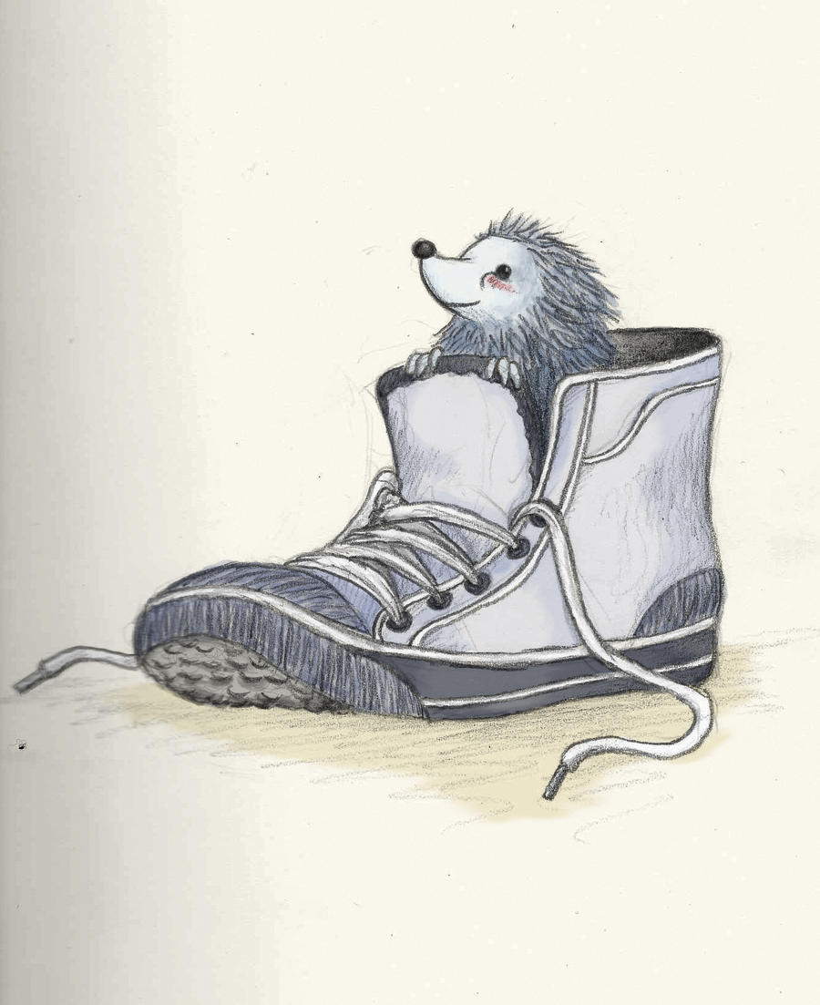 Hedgehog in a shoe