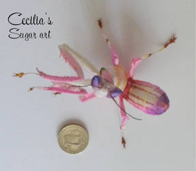 Orchid Mantis - Made of Sugar