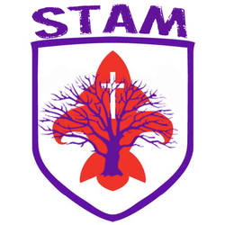 Stam Logo