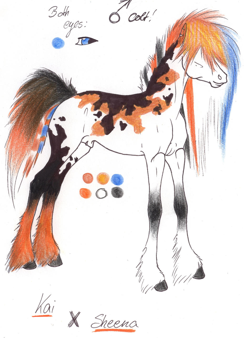 Foal KAIxSHEENA