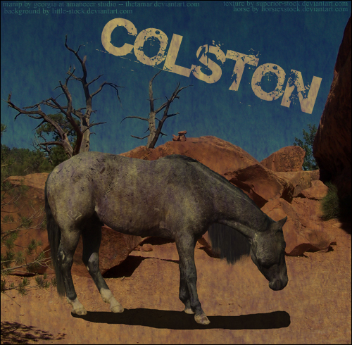 Colston