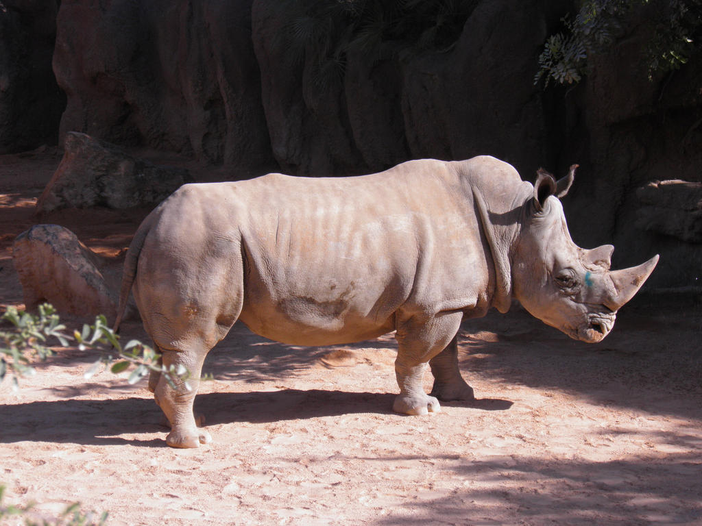 Valencia Biopark 157