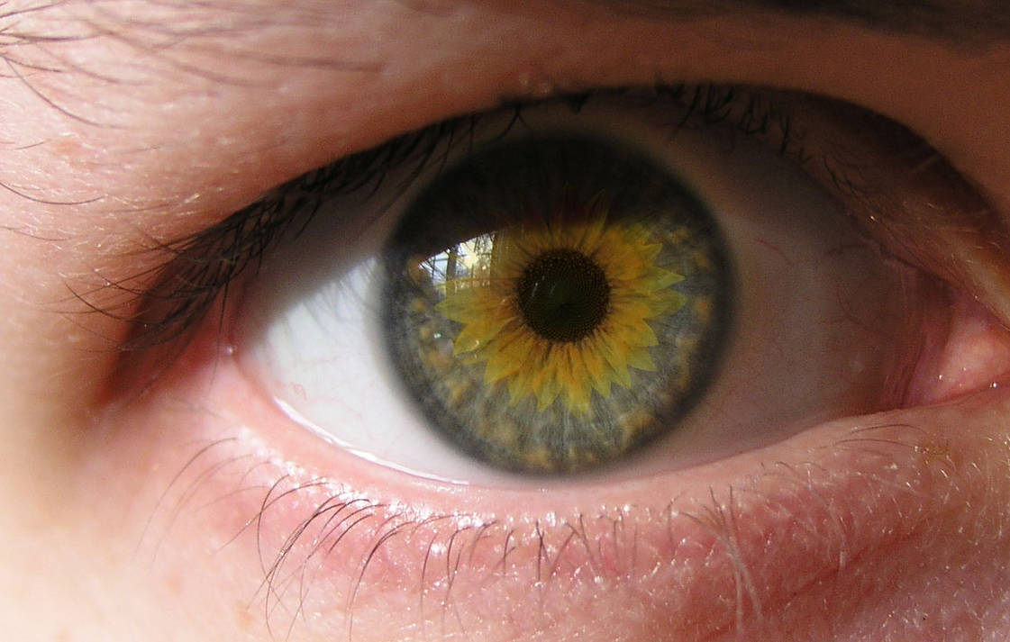 Центральная гетерохромия карих глаз. Цвет глаз хамелеон гетерохромия. Центральная гетерохромия хамелеон. Болотный цвет глаз гетерохромия. Почему глаза желтые причина