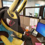 Lucario hard at work